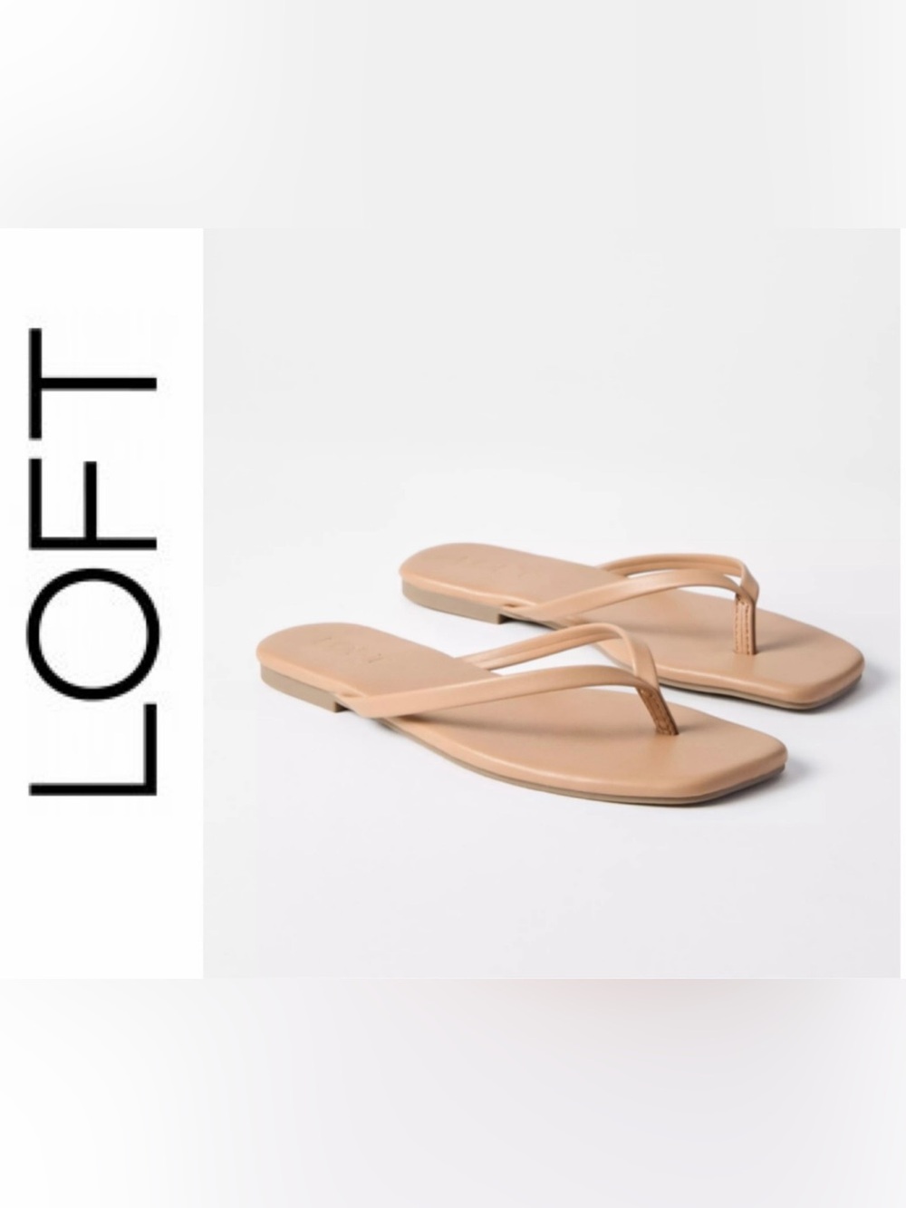 LOFT Square-Toe Flip Flop Sandal Size 7 NEW